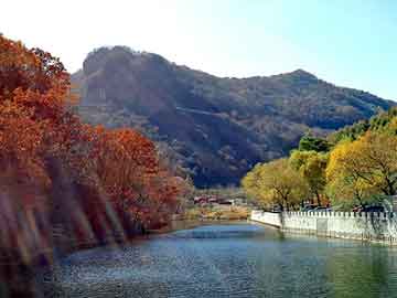 新澳门二四六天天彩，外贸香水